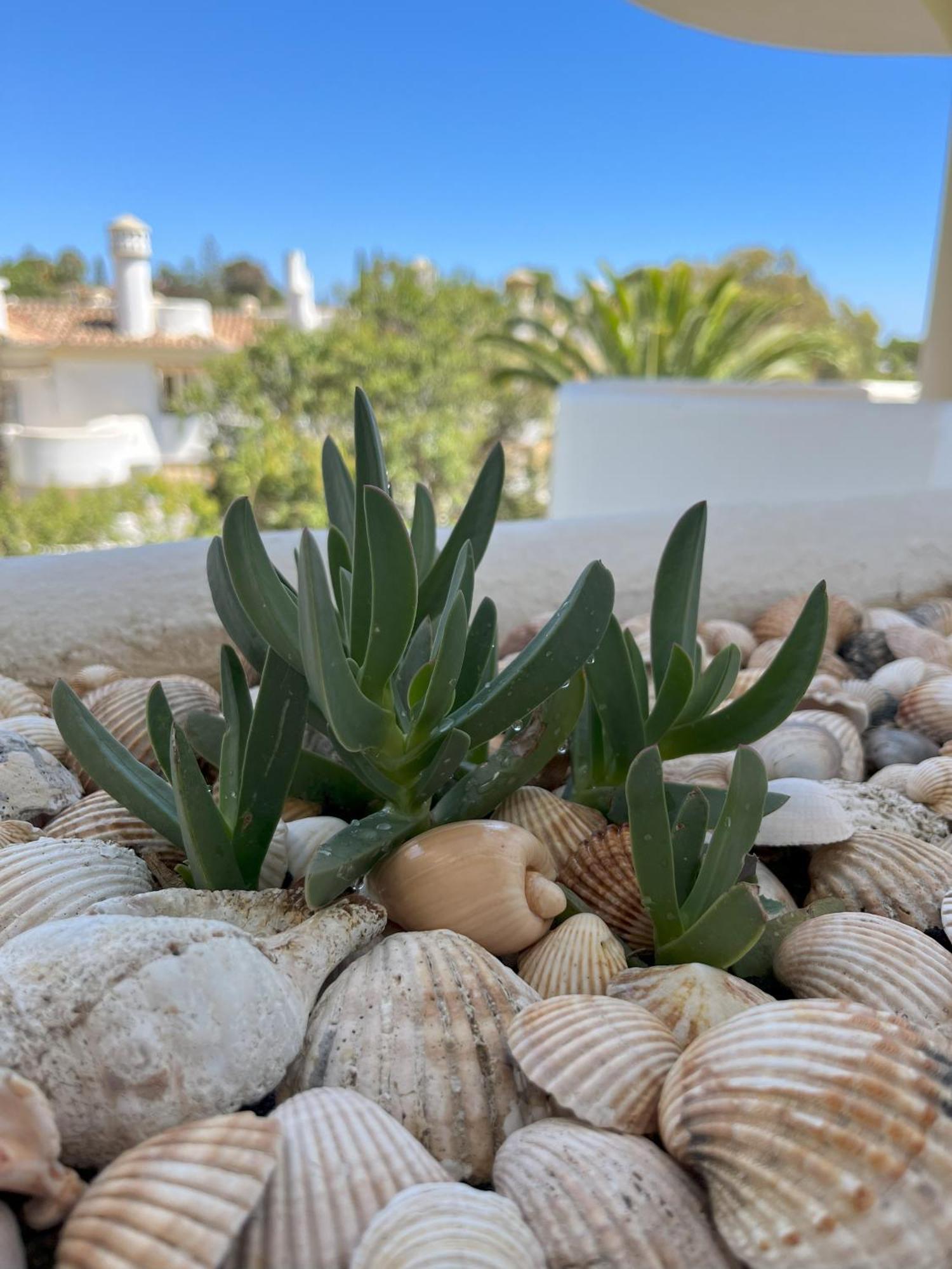 Casadeleon - Costadelsol Vacations & Remote Work Sitio de Calahonda Exterior photo